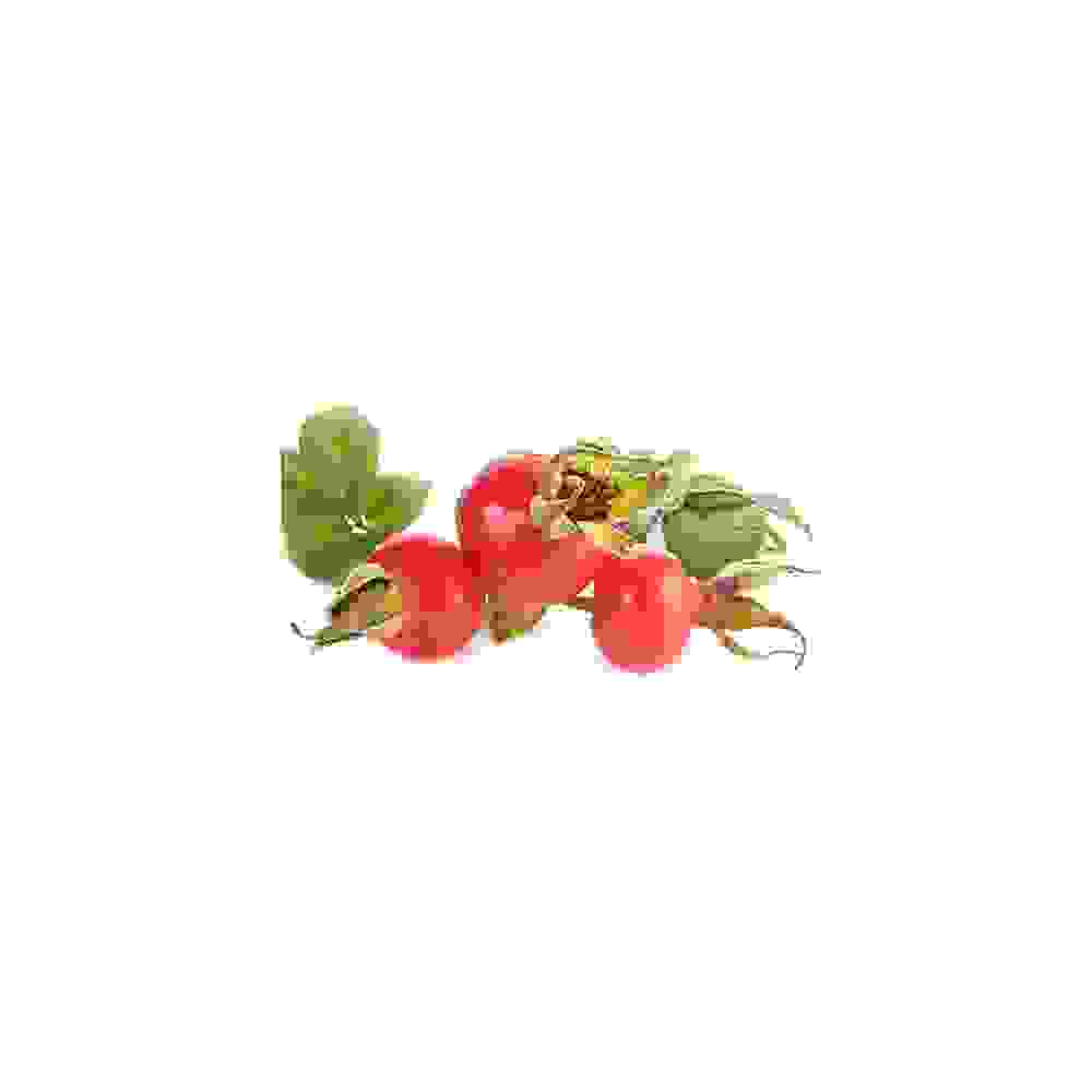 Lingonberry