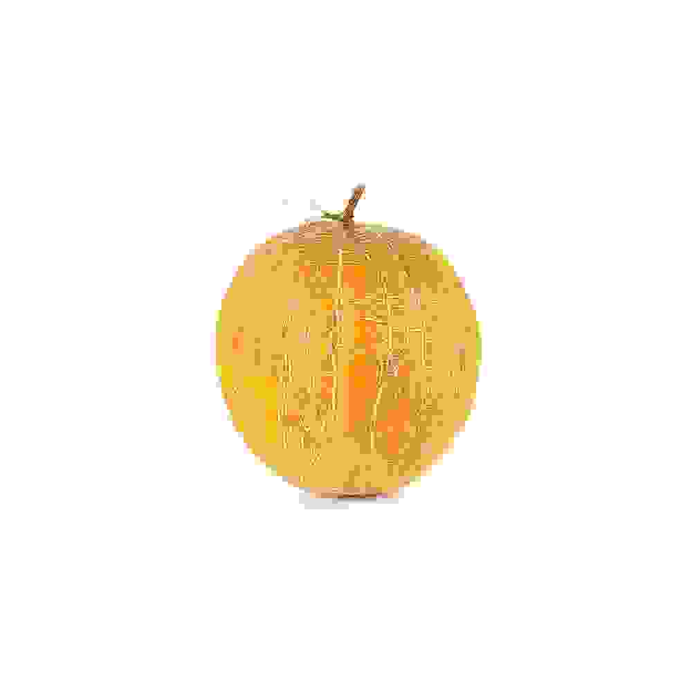 Muskmelon